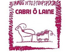 Cabri ô Laine