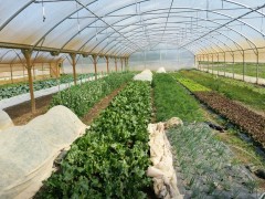 Espace-test agricole de Cranhouet