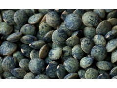 Lentilles vertes bio 1 kg Lentilles vertes bio 1 kg