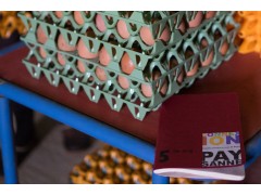 Oeufs Bio (boite de 6)