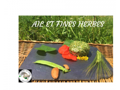 Fromage de chèvre rond frais enrobé ail et fines herbes