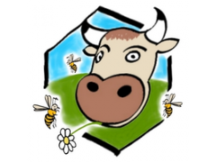 Cyrille TATARD  [ La Maison TATARD ]